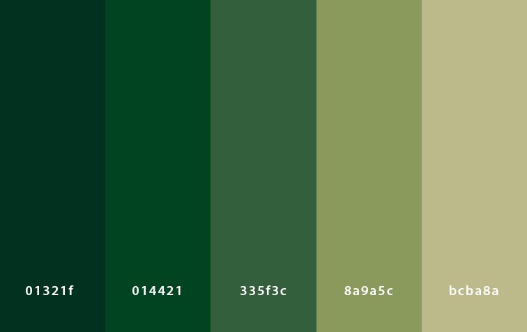 رنگ سازمانی - green color palette