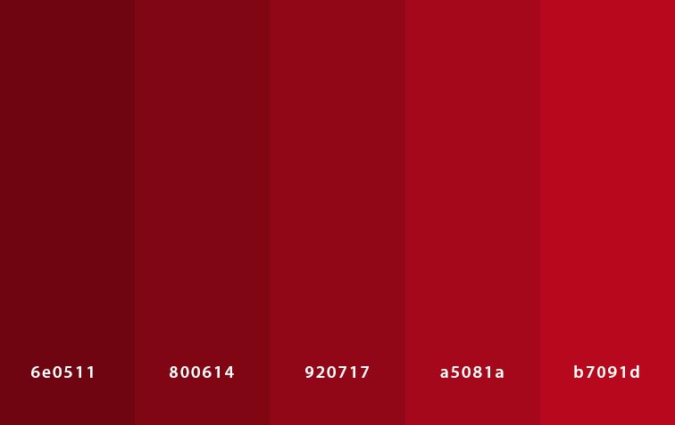 رنگ سازمانی - red color palette